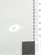 10.Eggshell