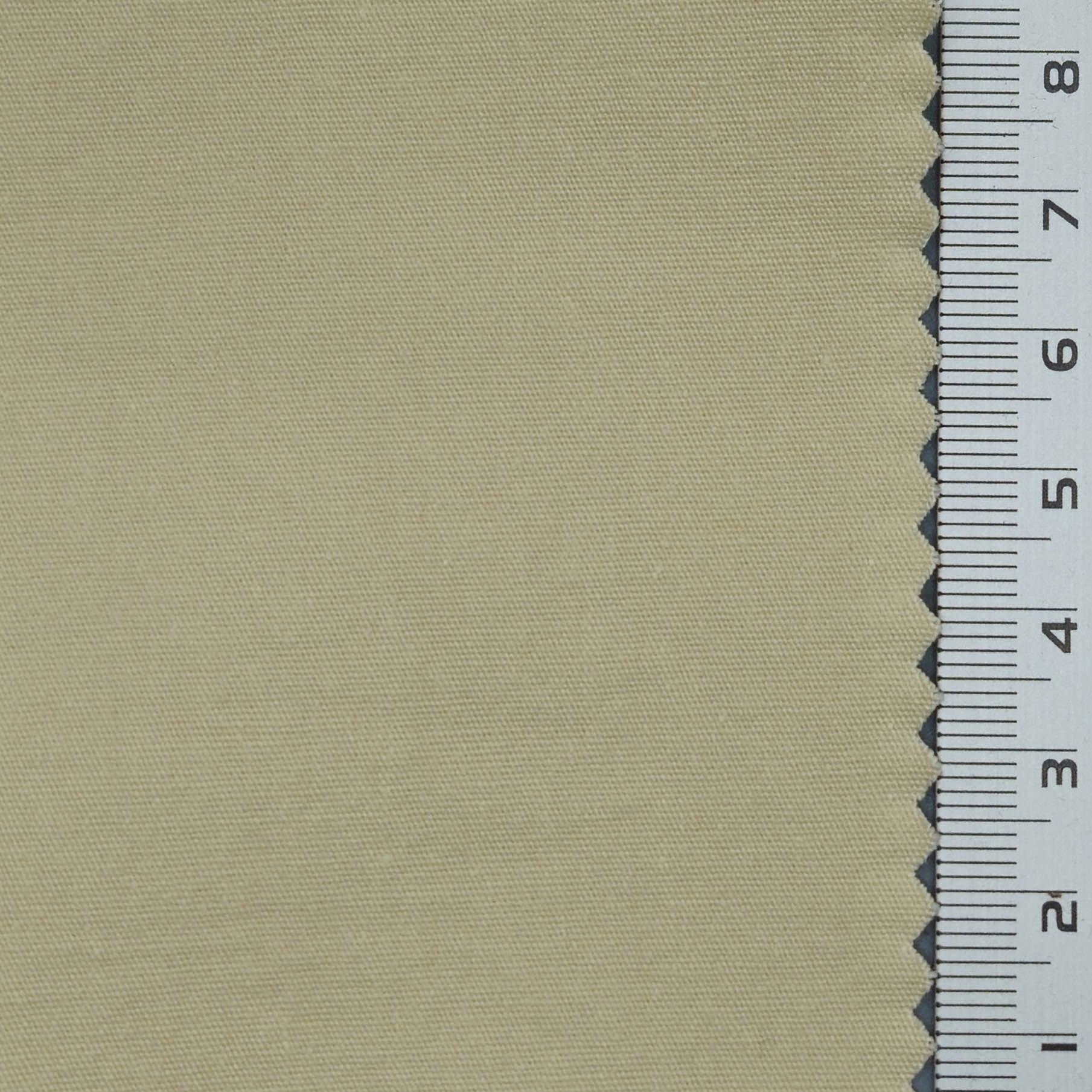 Solid Spandex Cotton Woven Fabric - FAB 1667 - 10.Neutral Green