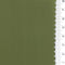 10: Olive Green