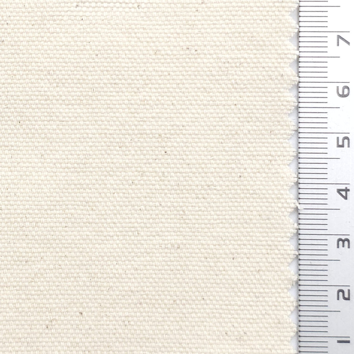 Solid 10 Count Oxford Cotton Woven Fabric - FAB1983 - Off White
