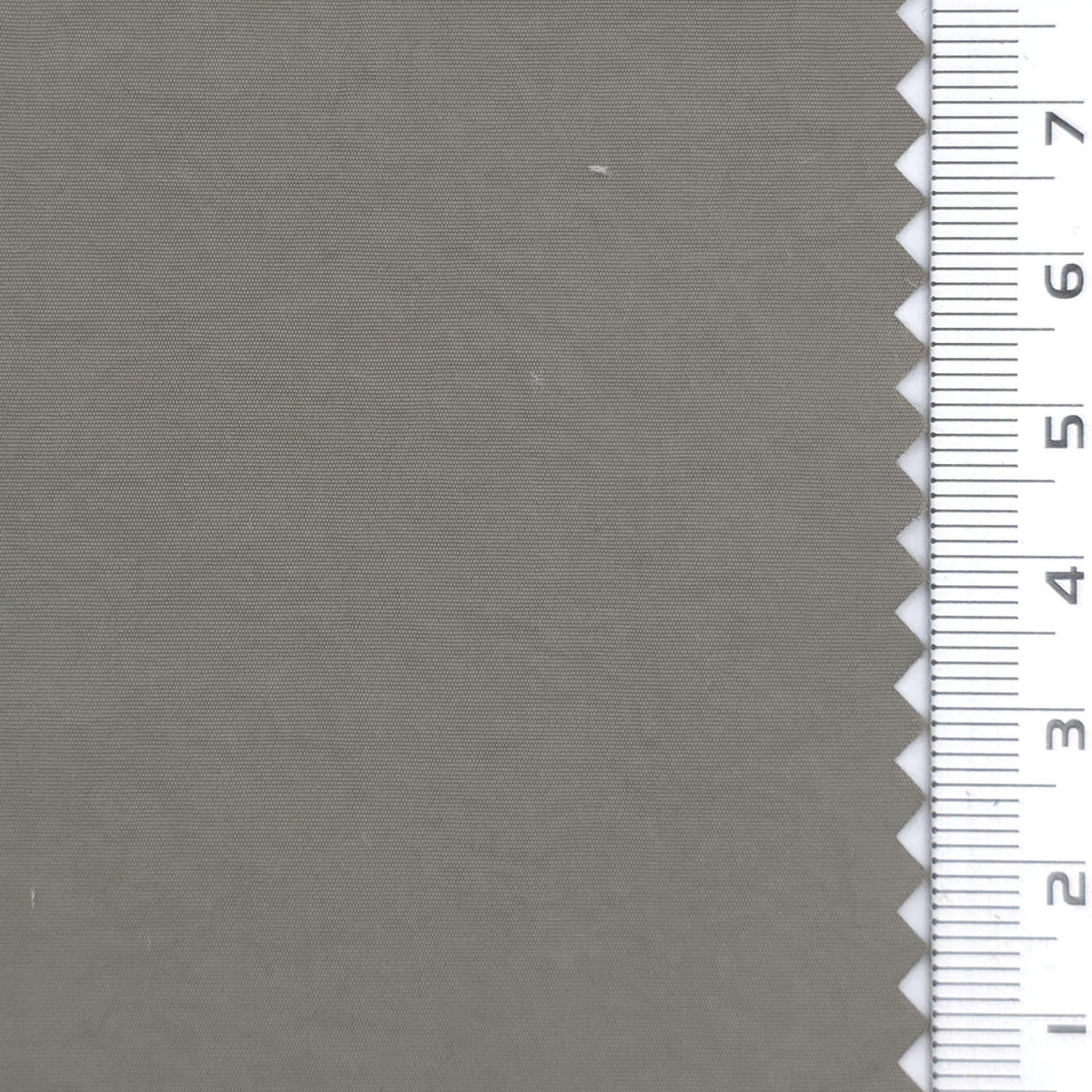 1: Pale Sage Green-2: Light Gray-3: Pale Olive-4: Cream-5: White - Lightweight Crinkle High Density Nylon Woven Fabric - FAB 1939