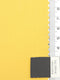 12.Dull Yellow