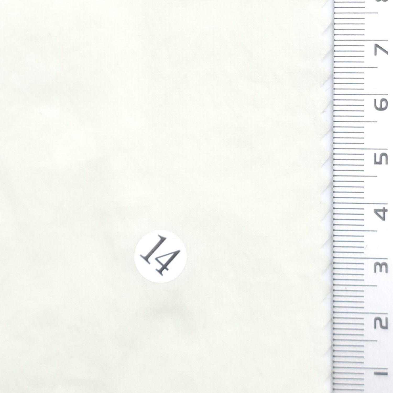 Solid Nylon Spandex Woven Fabric - FAB1964 - Off White
