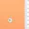 16.Orange