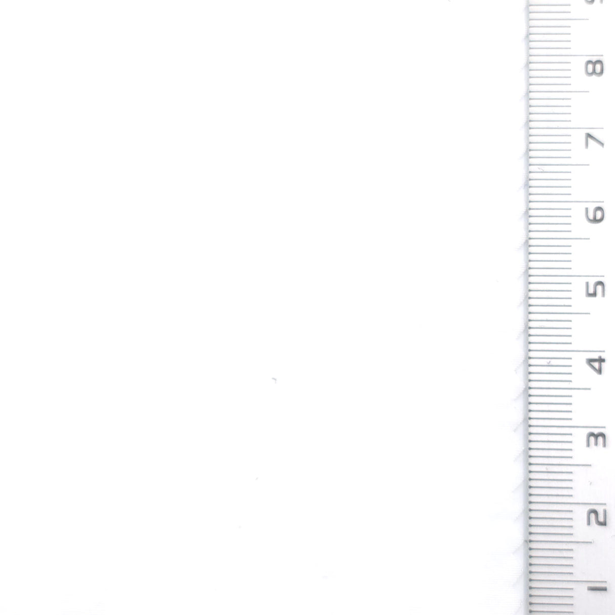 White - Washer Nylon Woven Fabric - FAB1865