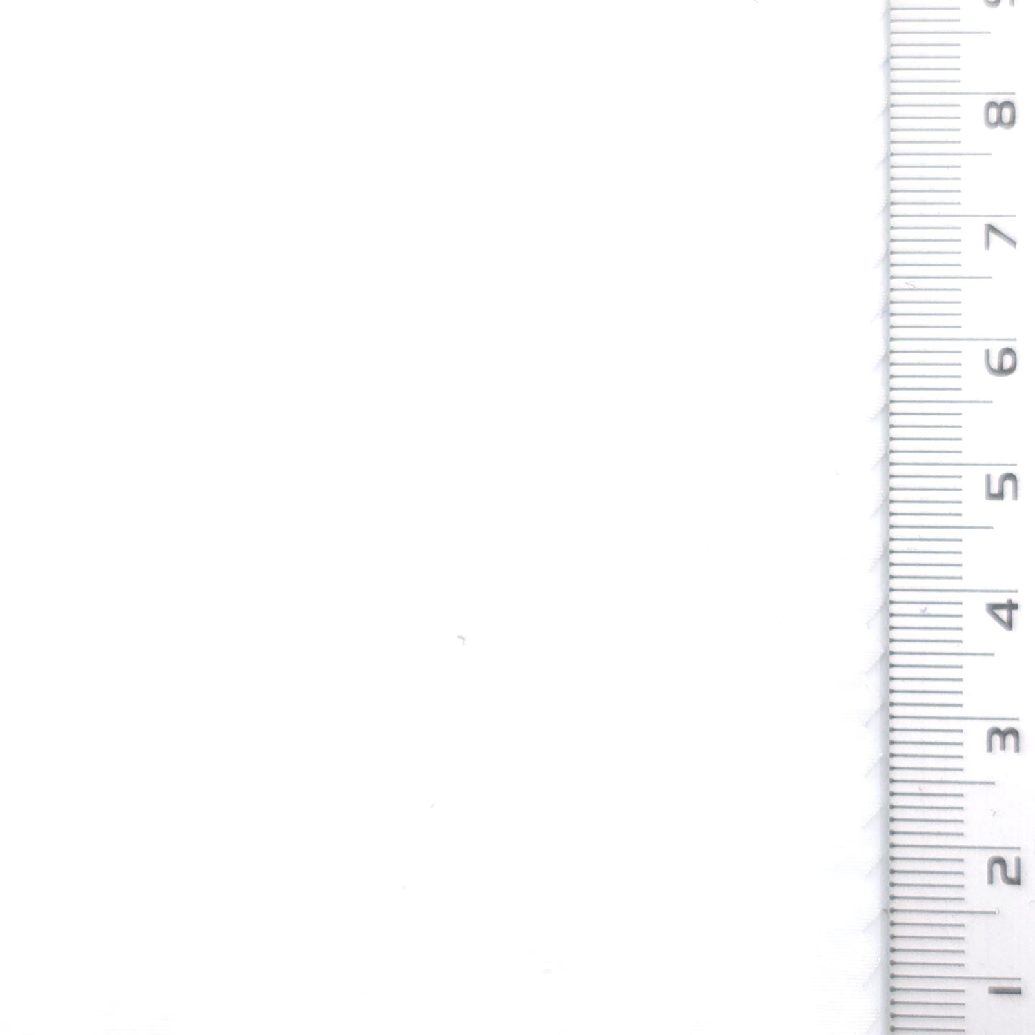 White - Washer Nylon Woven Fabric - FAB1865