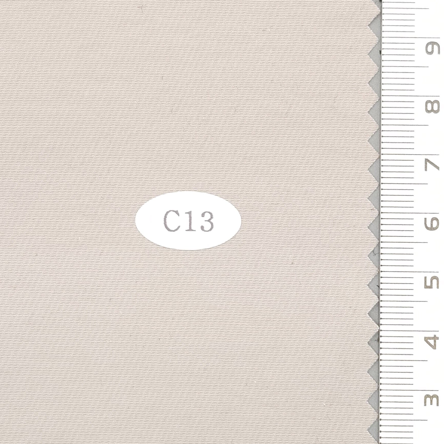 Solid PU Coating Recycled Nylon Woven Fabric - FAB 1682 - 1.Bon Jour (C13)