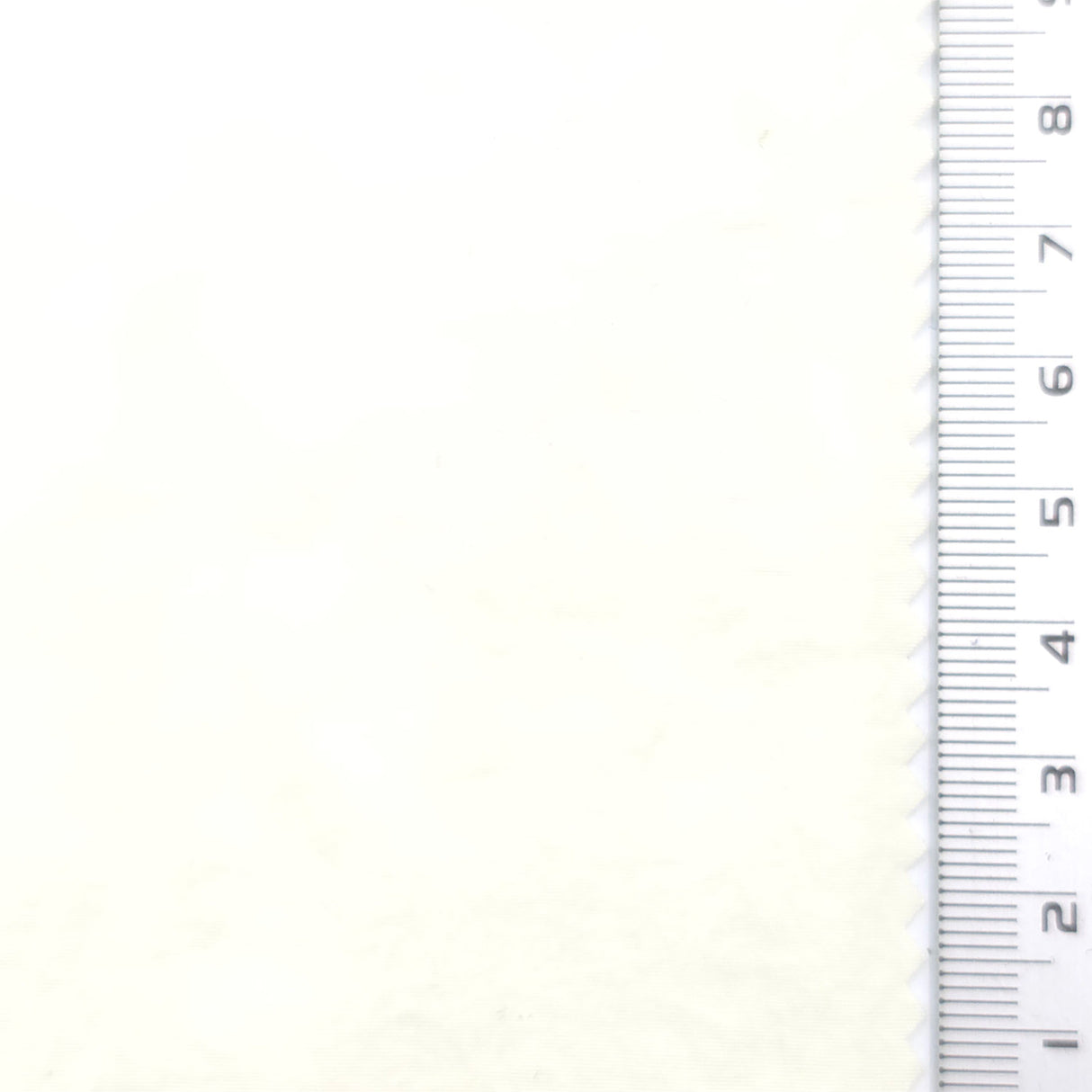 Cream - Washer Nylon Woven Fabric - FAB1865