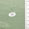 21.Sage Green