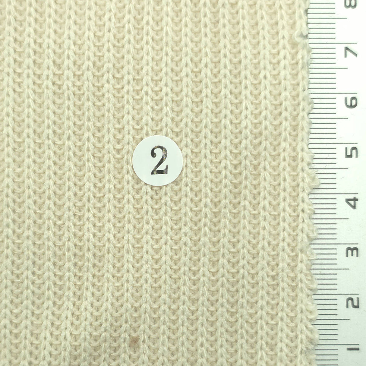 Pale Beige - Rib Knit Poly Fabric - FAB1855