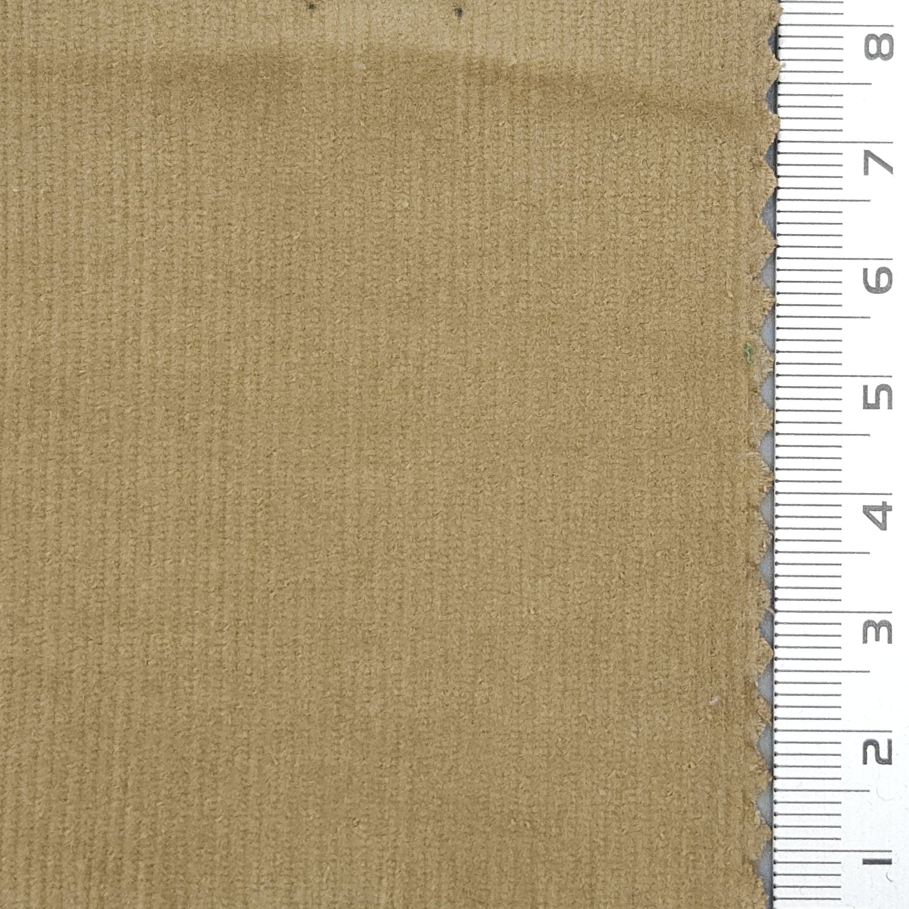 28Wale Solid Corduroy Cotton Spandex Woven Fabric - FAB 1666 - 3.Sandrift