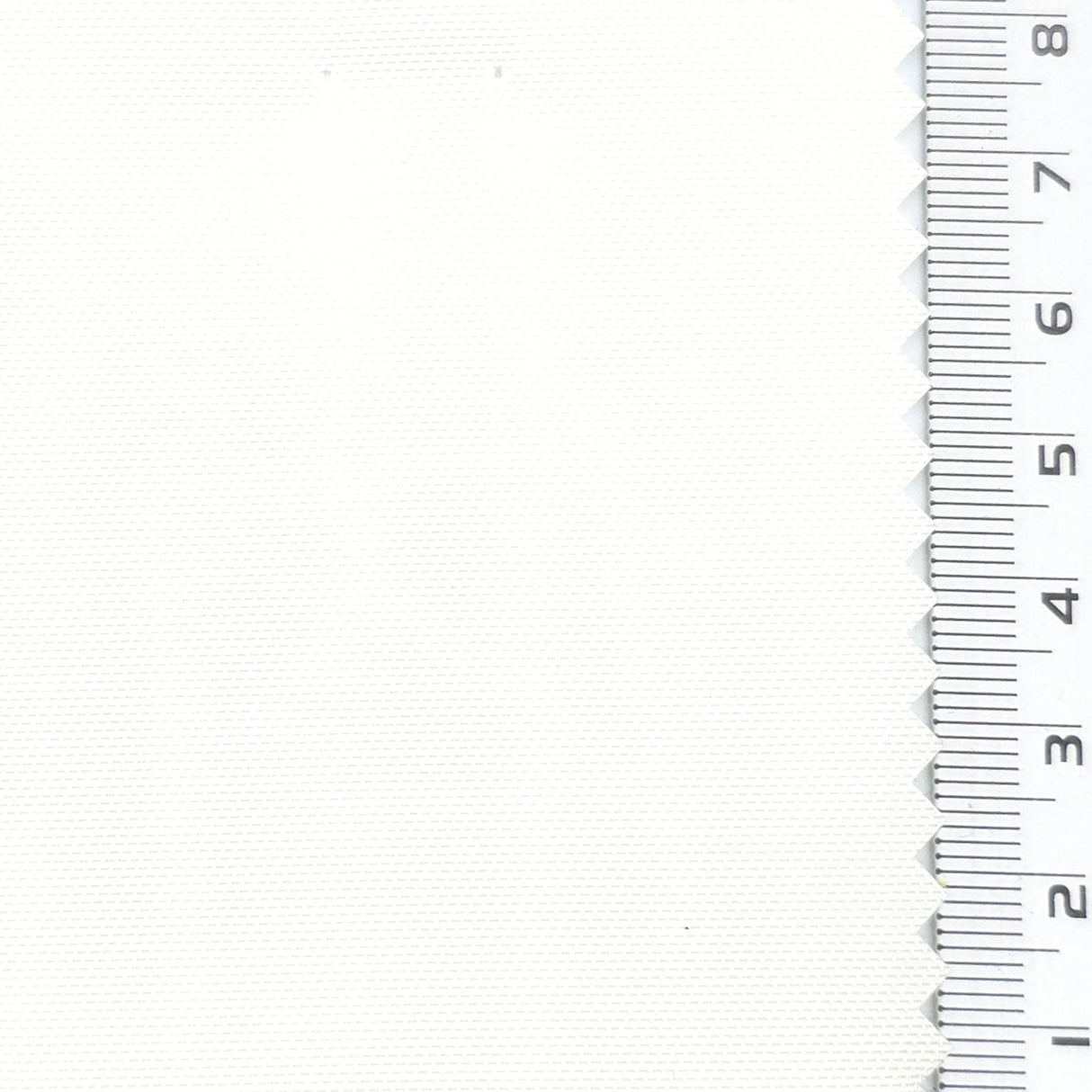 Cream - Canvas Poly Woven Fabric - FAB1883