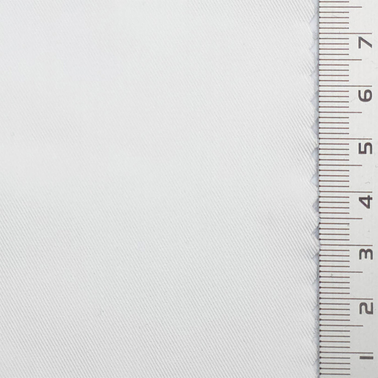 Cotton Nylon Woven Fabric - FAB1191