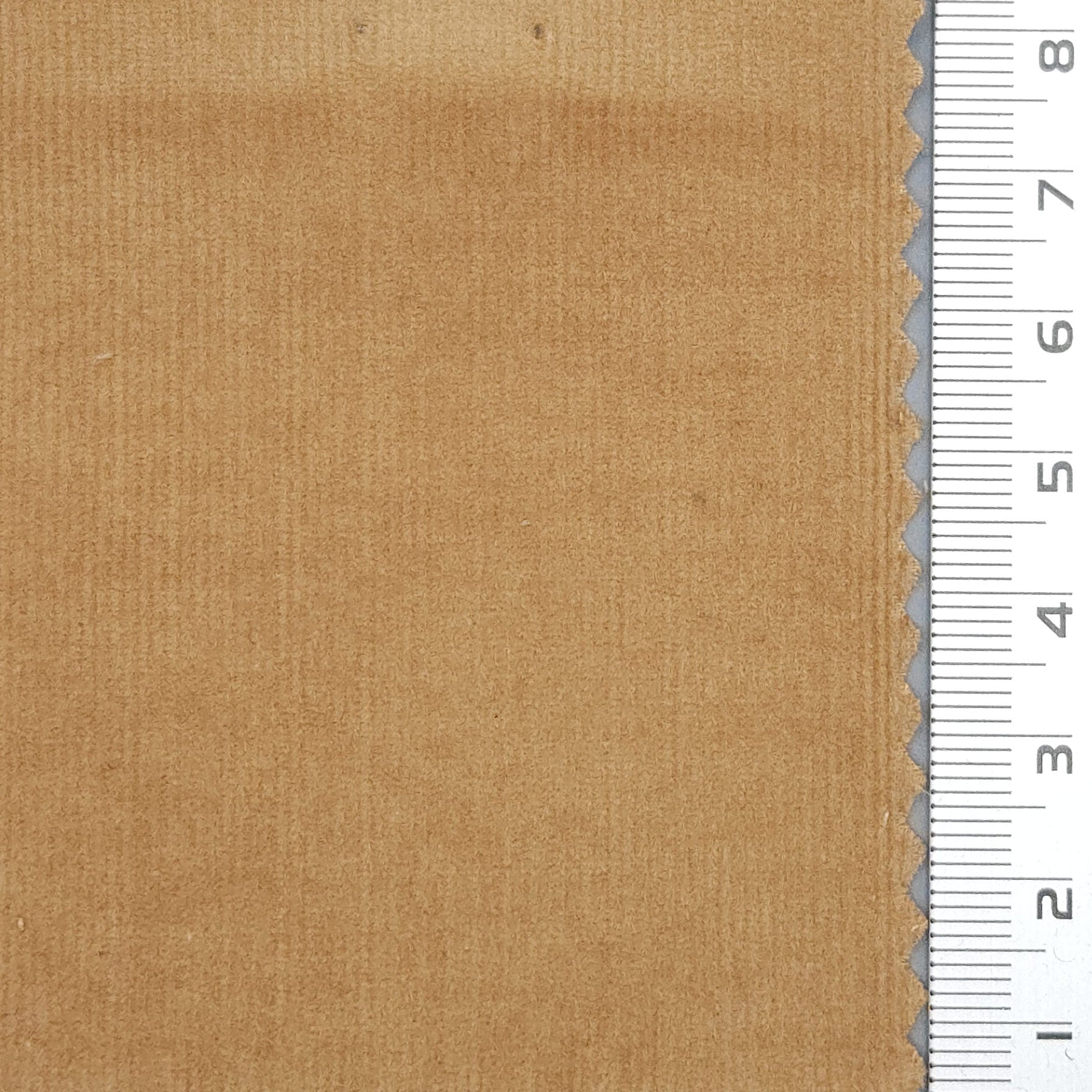 28Wale Solid Corduroy Cotton Spandex Woven Fabric - FAB 1666 - 4.Barley Corn