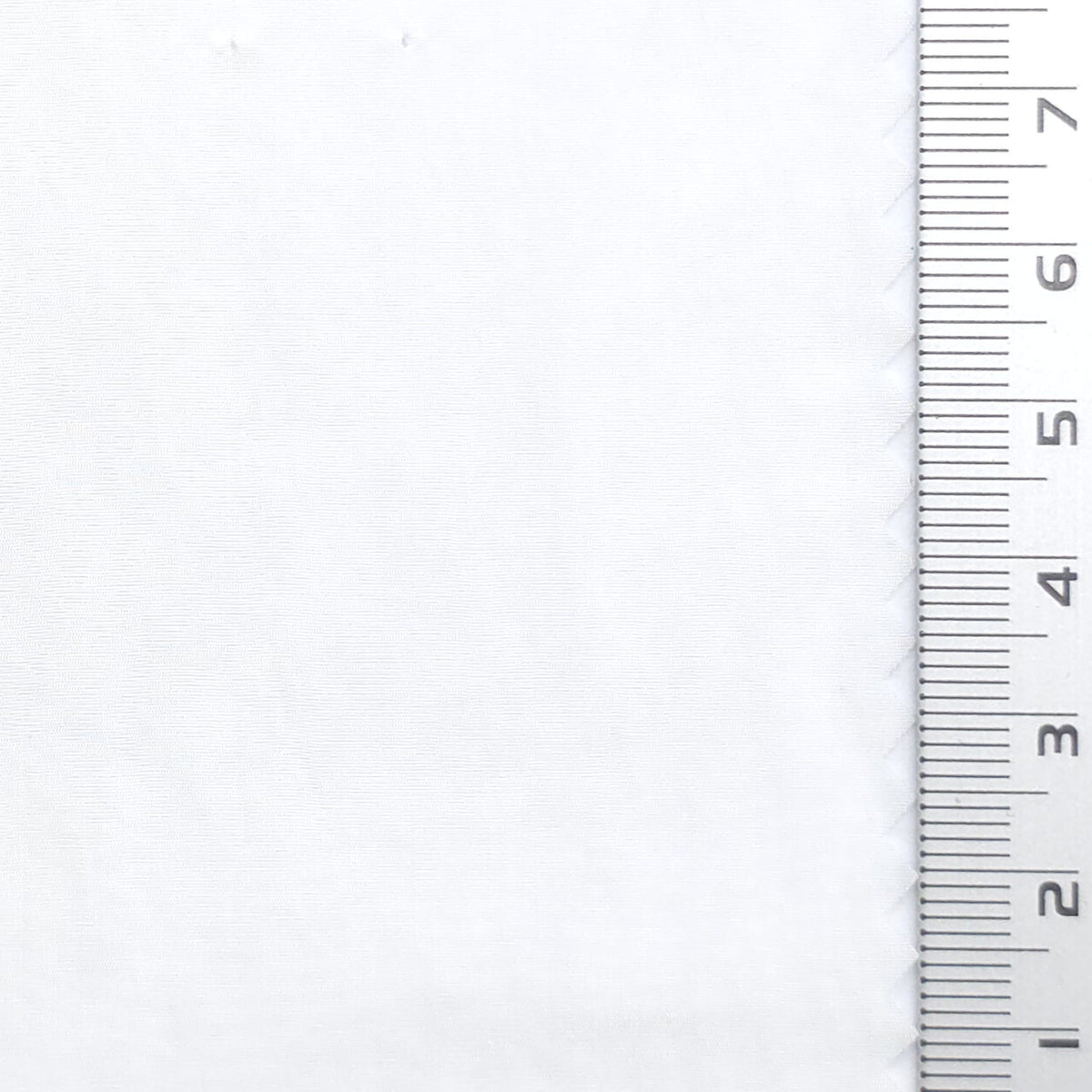 Crinkled Polyamide Woven Fabric - FAB1985 - White