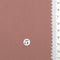 v2-5.Coral