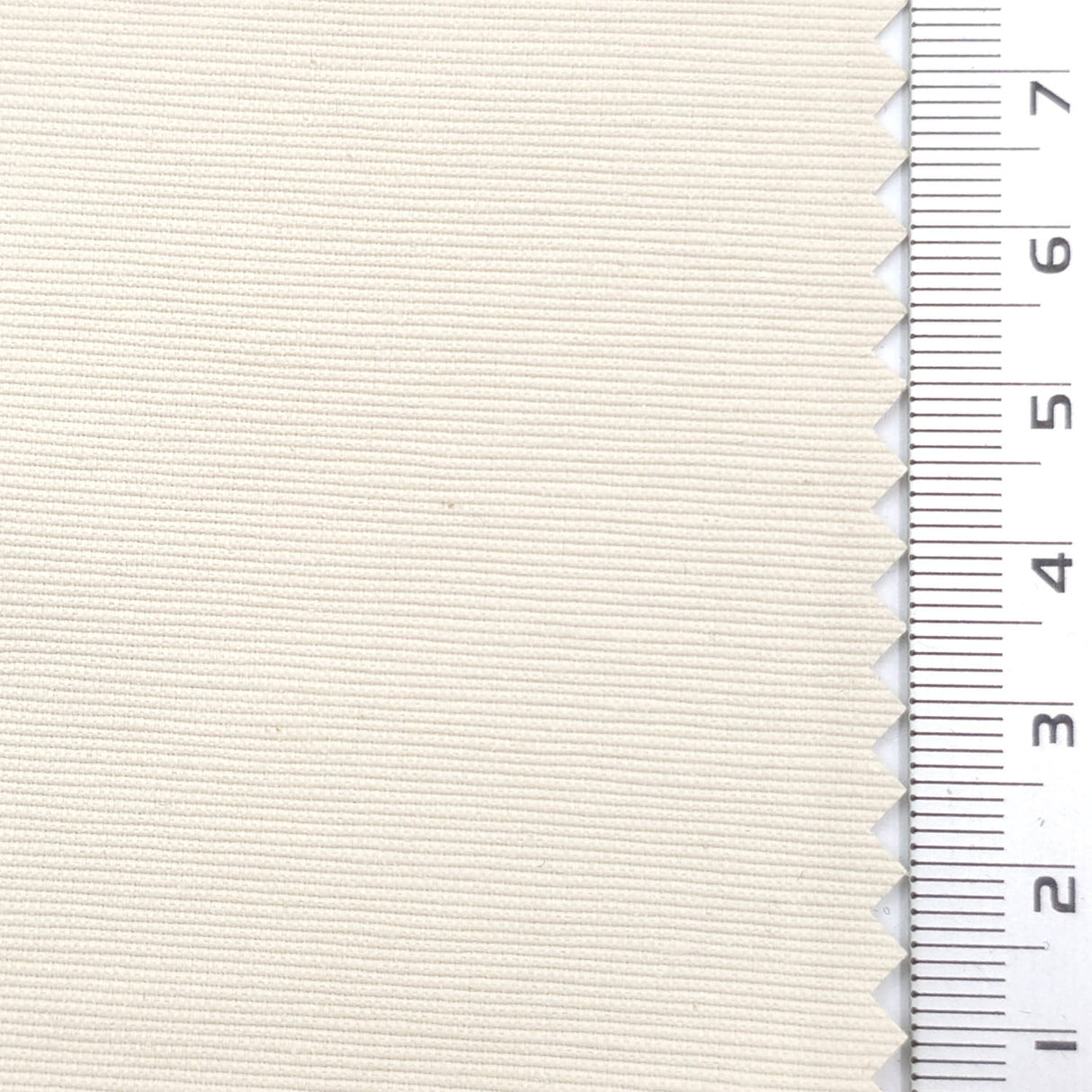 Pale Beige - Twill Cotton Nylon Woven Fabric - FAB1866