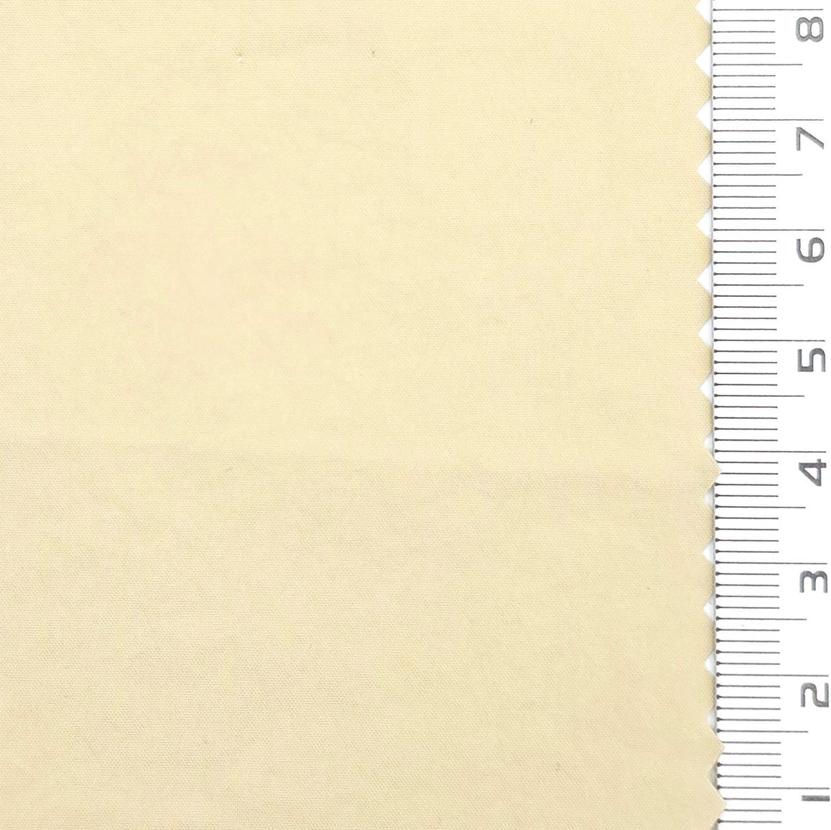 Beige Water Repellent Memory Stretch Nylon Span Woven Fabric - FAB1823