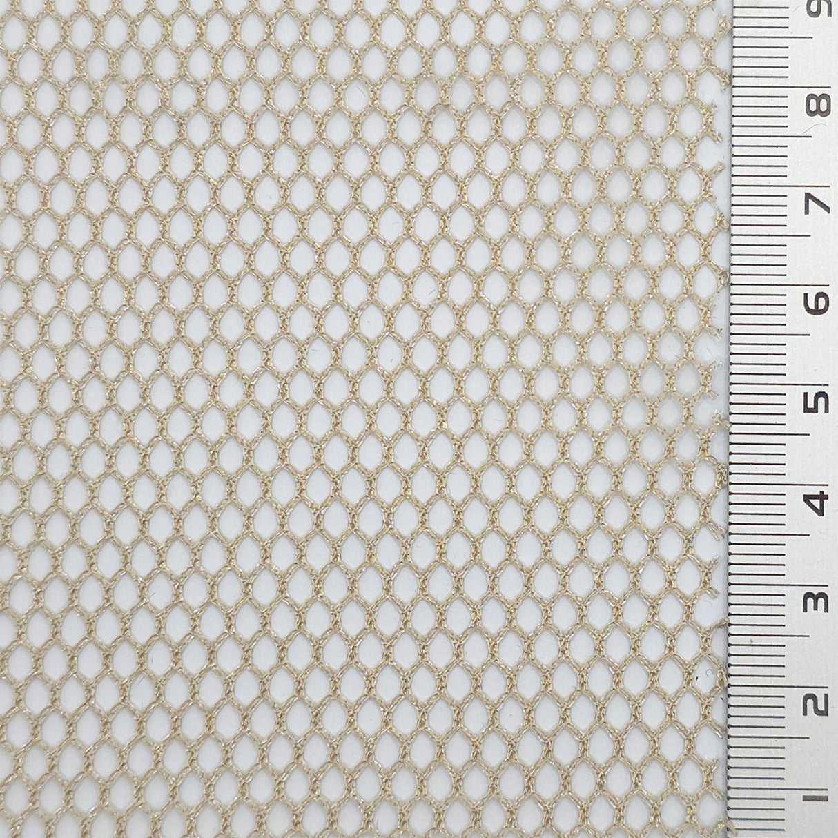 Nylon(100/24) Mesh Fabric - FAB1131