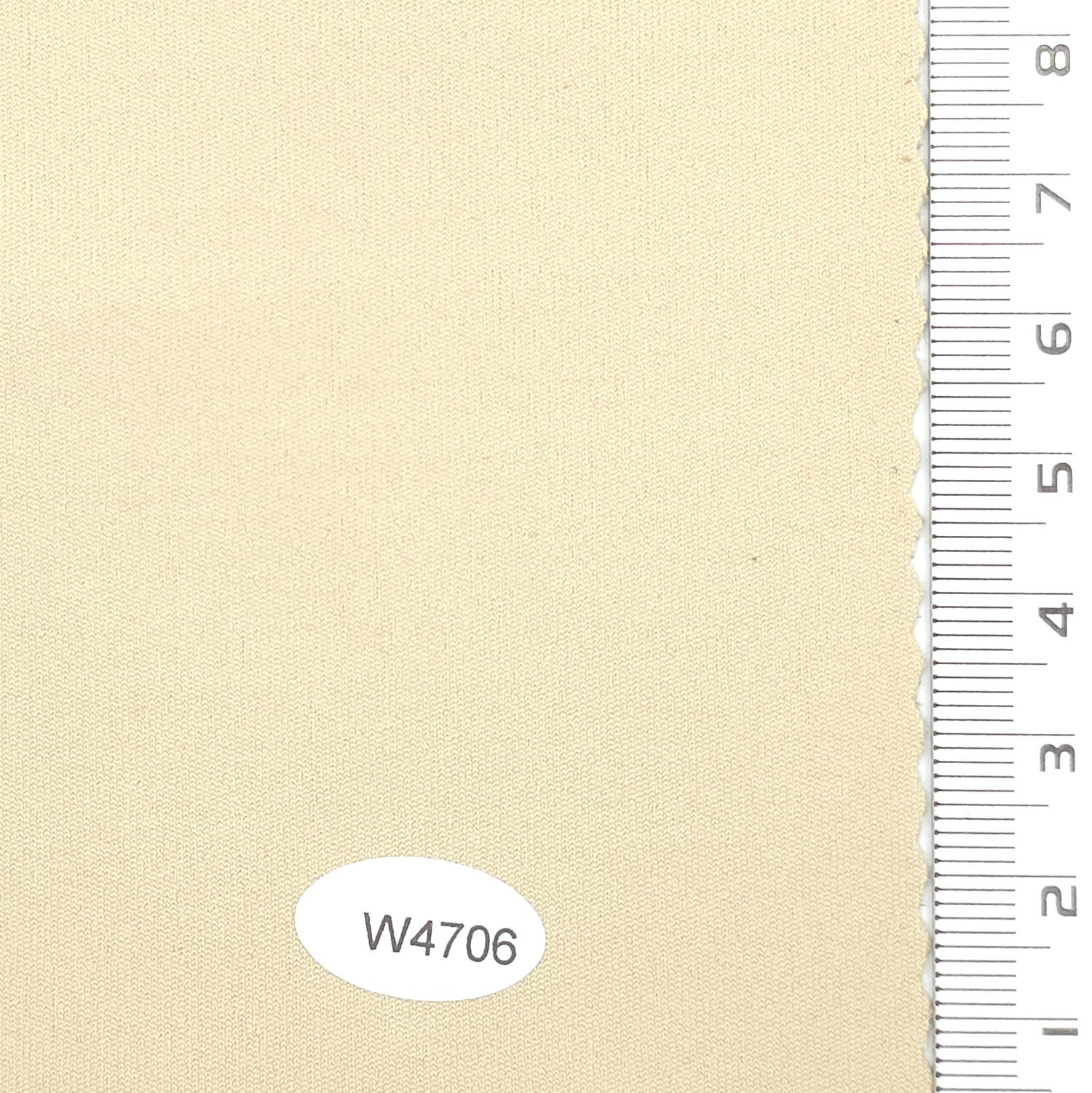 1.Aqua (W4725)-2.Rainee (W4724)-3.Taupe (W4727)-4.Warm Gray (W4710)-5.Ivory (W4706) - 4Way Stretch Nylon Spandex Knit - FAB 1226