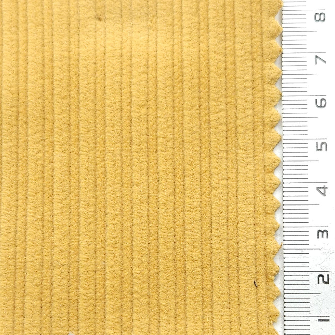 8Wale Solid Corduroy Cotton Woven Fabric - FAB 1657 - 6.Cream Can