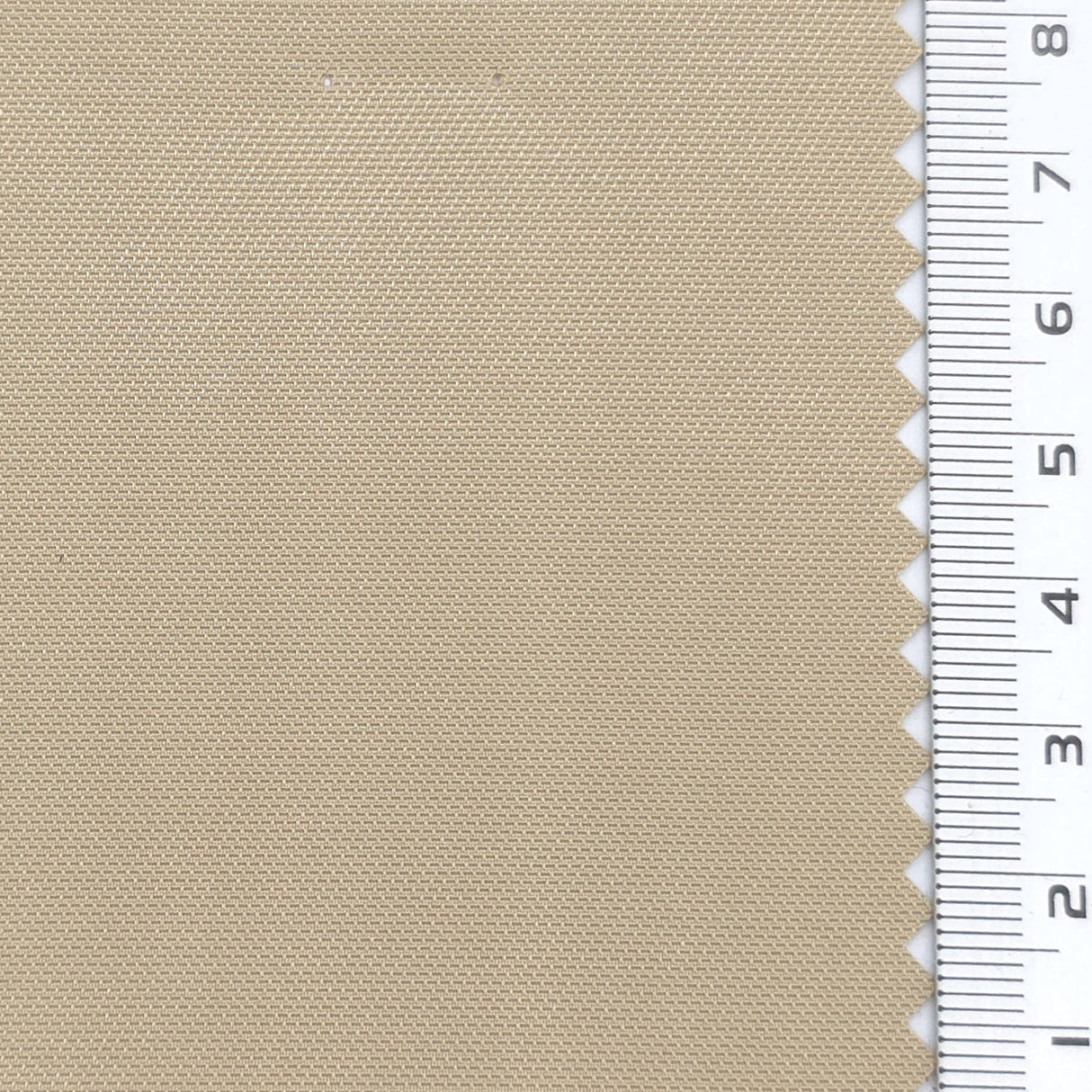 Beige - Canvas Poly Woven Fabric - FAB1883