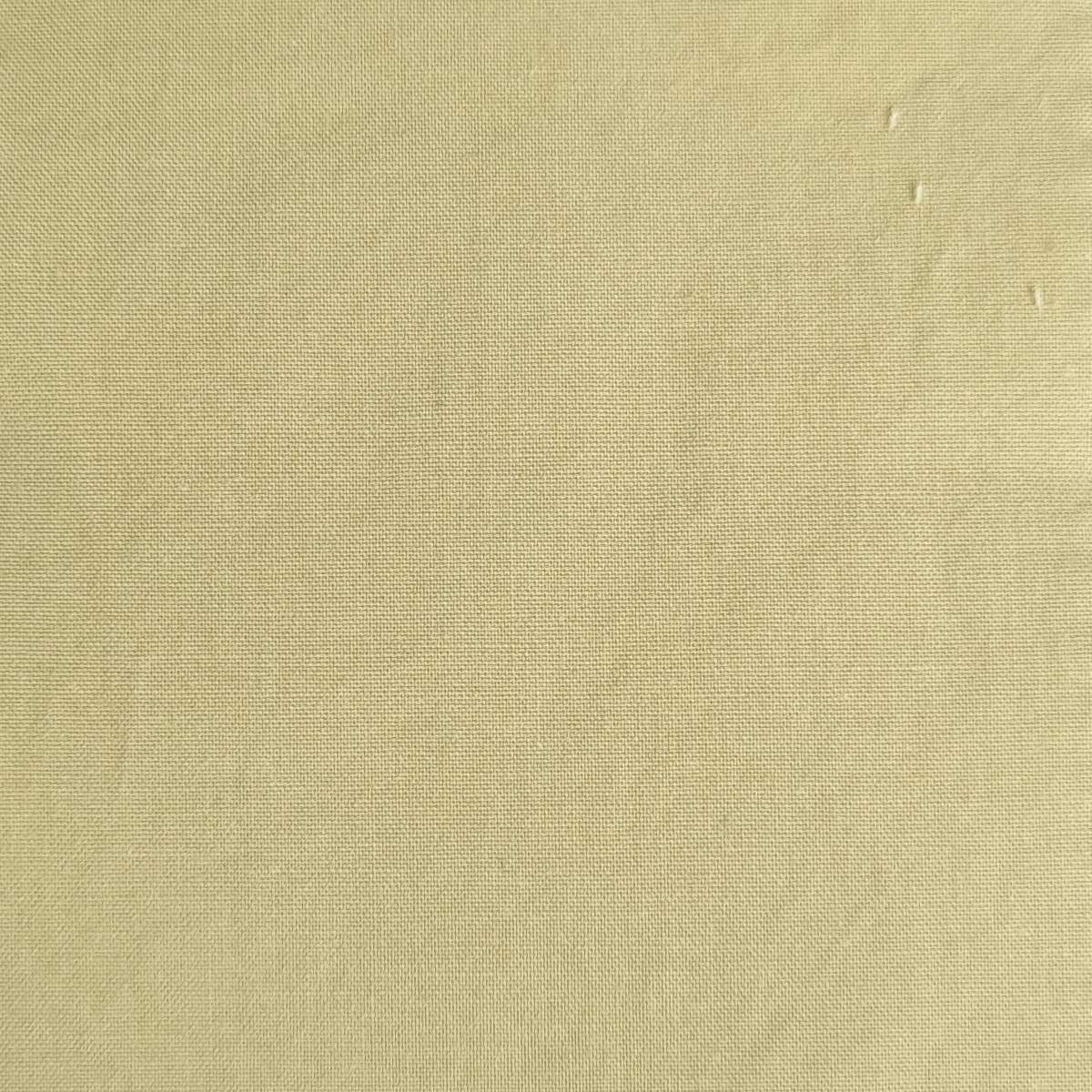 40'S Bio Washing Cotton Woven Fabric - FAB 1165