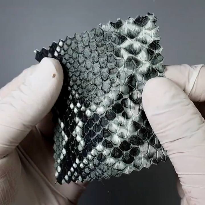 1.Black Grey-2.Black-3.Brown-4.Grey-5.Blue - Fake Snake Skin PU Rayon Fabric - FAB 1297