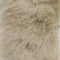 7.Squirrel