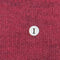1.Fuchsia