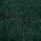 8.Black/Moss
