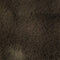 10.Dark Brown
