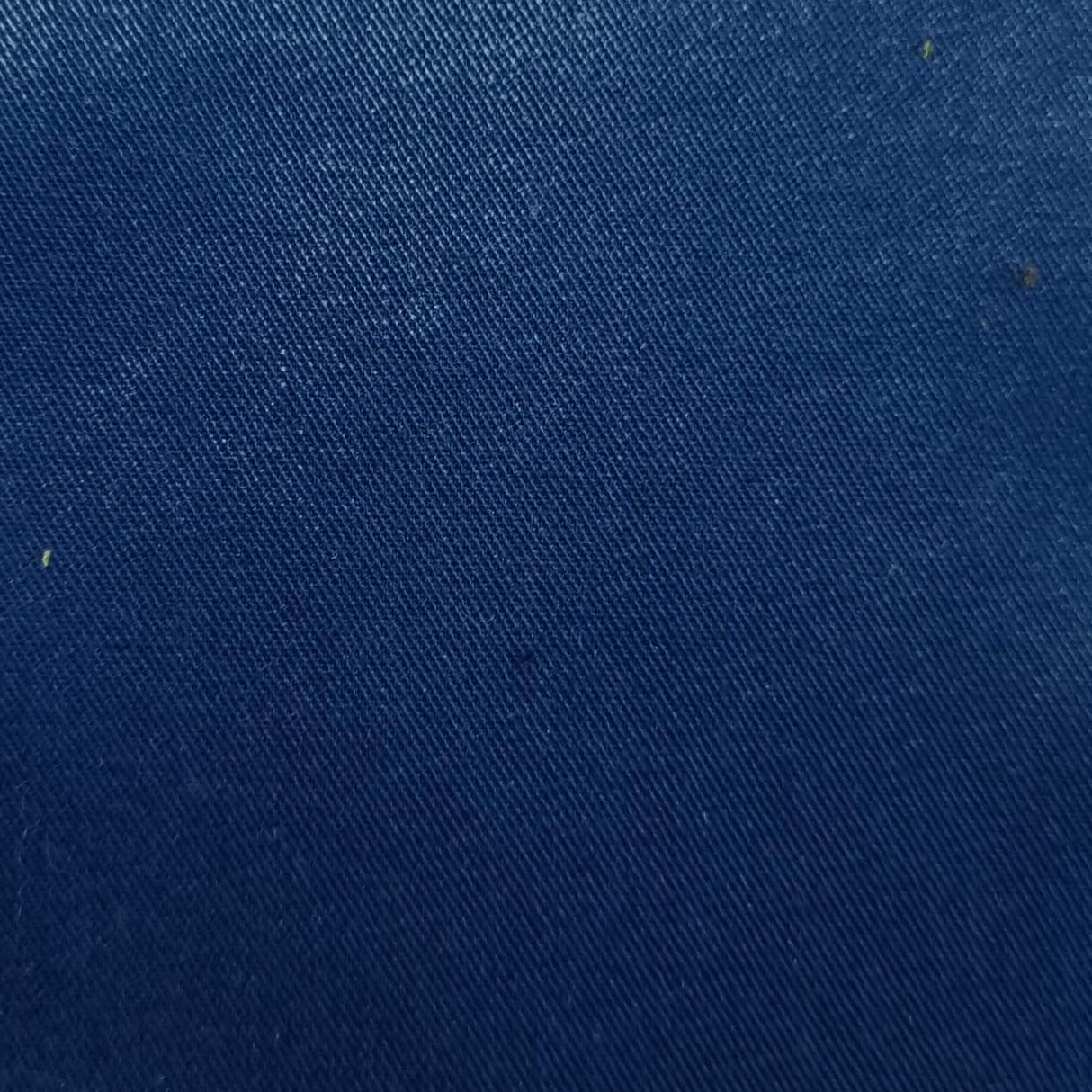 Cotton Woven Fabric-Resolution Blue