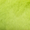 47.Lime