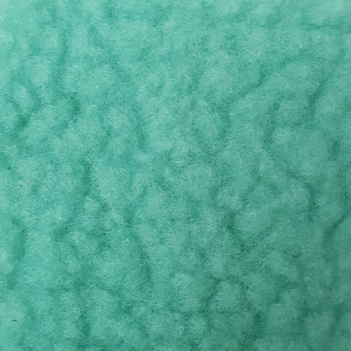 Fleece Polyester Fabric-Fern
