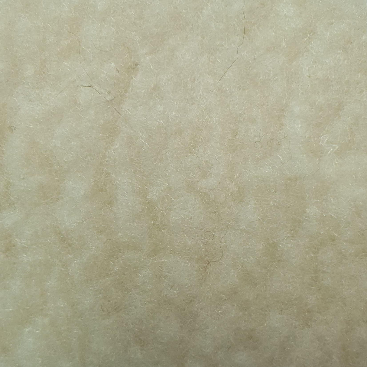 Fleece Polyester Fabric | FAB1201 | 1.Black, 2.Navy, 3.Dijon, 4.Ivory, 5.Pearl, 6.Egg Shell, 7.White, 8.Juniper, 9.Bone, 10.Azure by Fabricis.com #