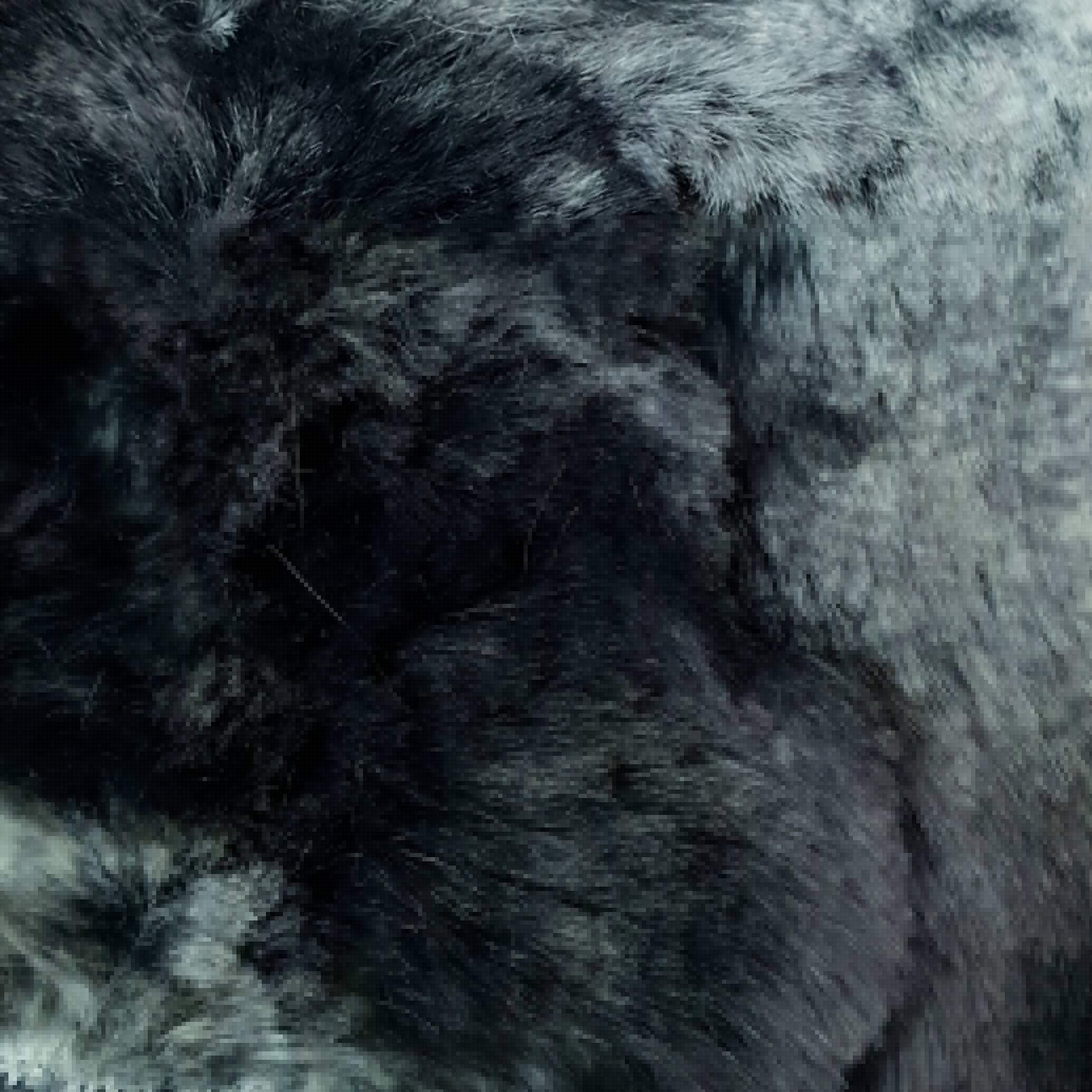 1.Brown-2.Grey-3.Cobalt-4.Purple-Swatch - Crack Wave Faux Fur - FAB 1206