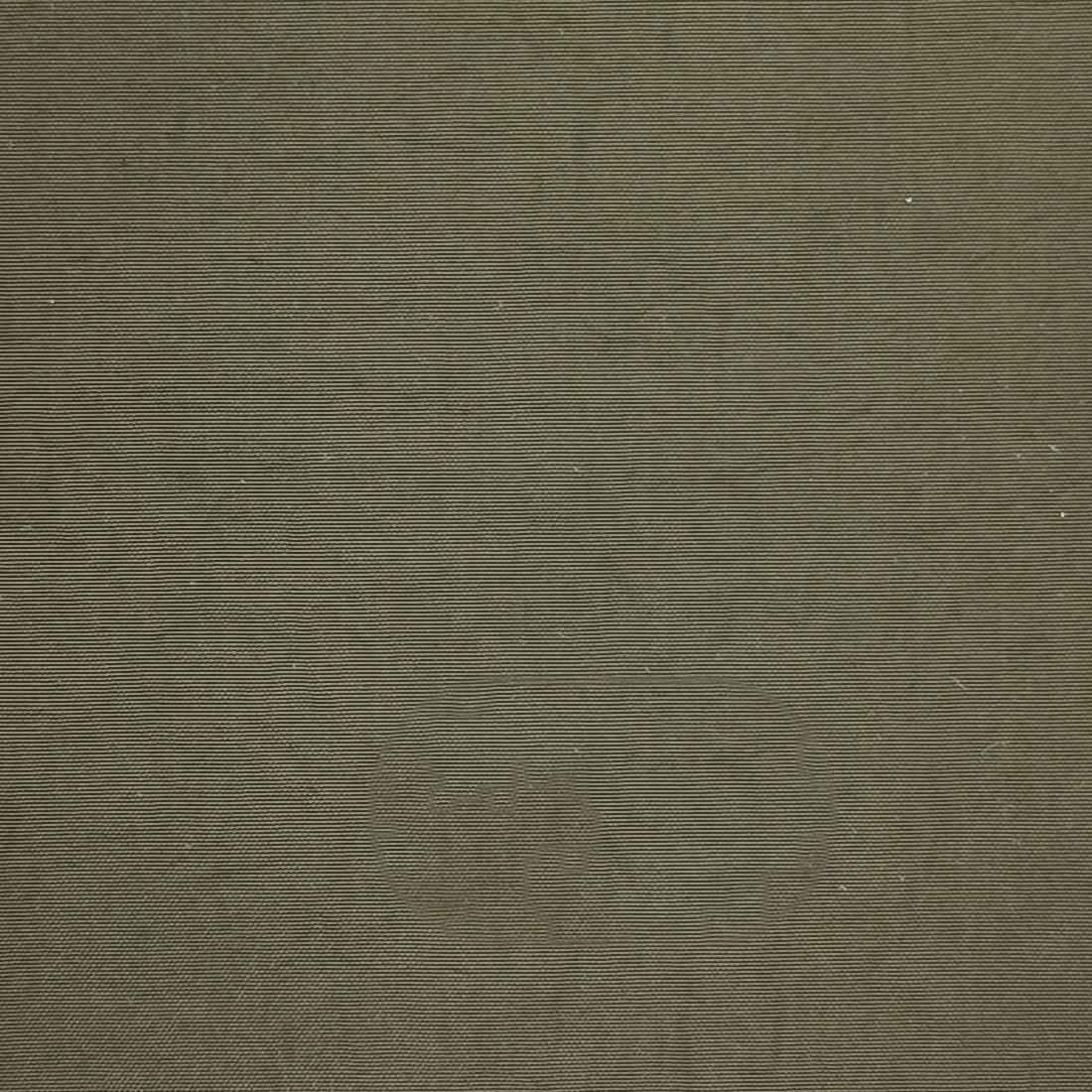 Recycle Nylon Woven-Olive Drab