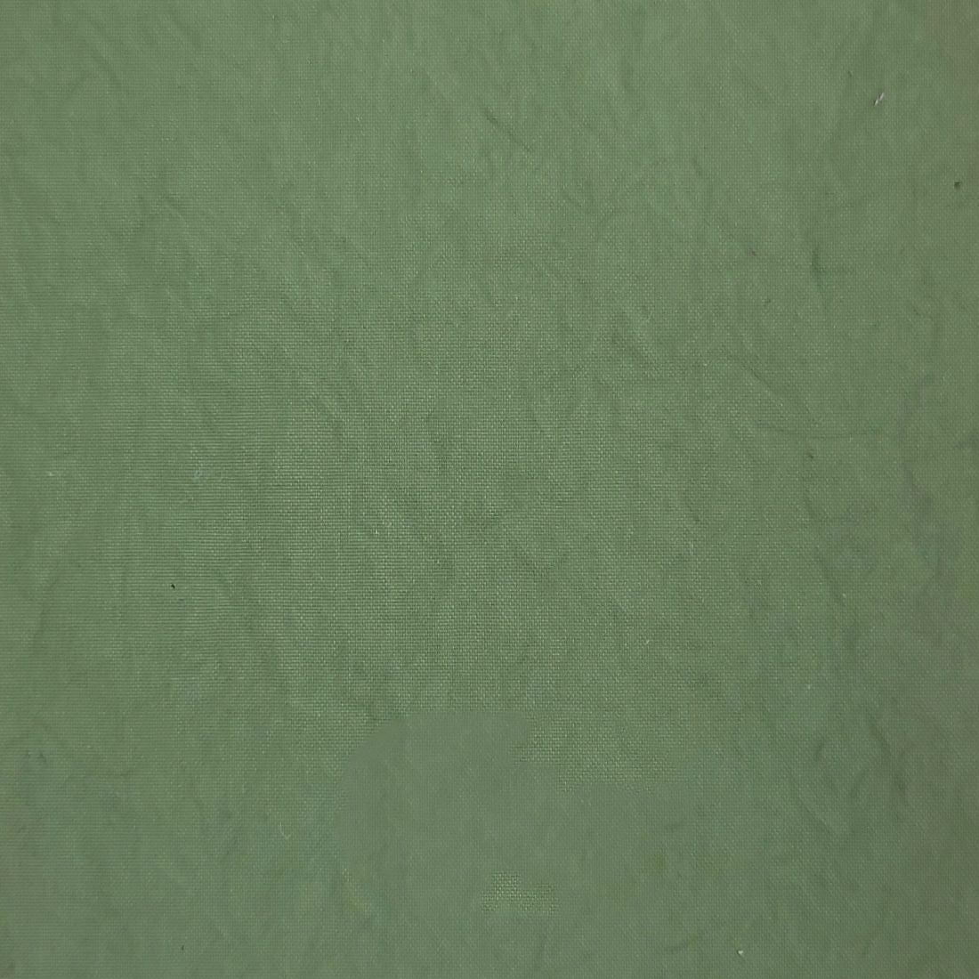 Recycle Nylon Woven - FAB 1231 - 22.Spruce Green