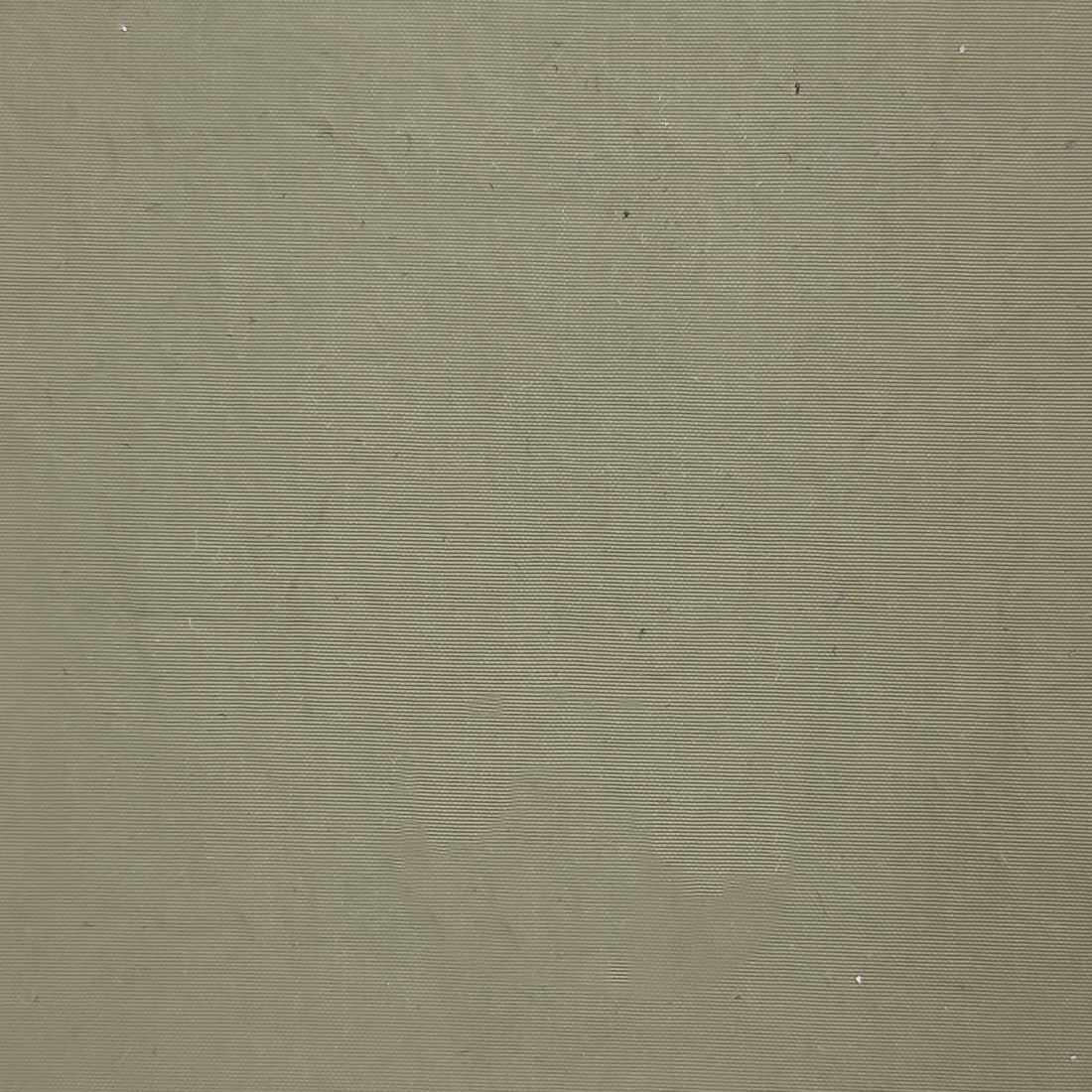 Recycle Nylon Woven - FAB 1231 - 23.Woven Willow