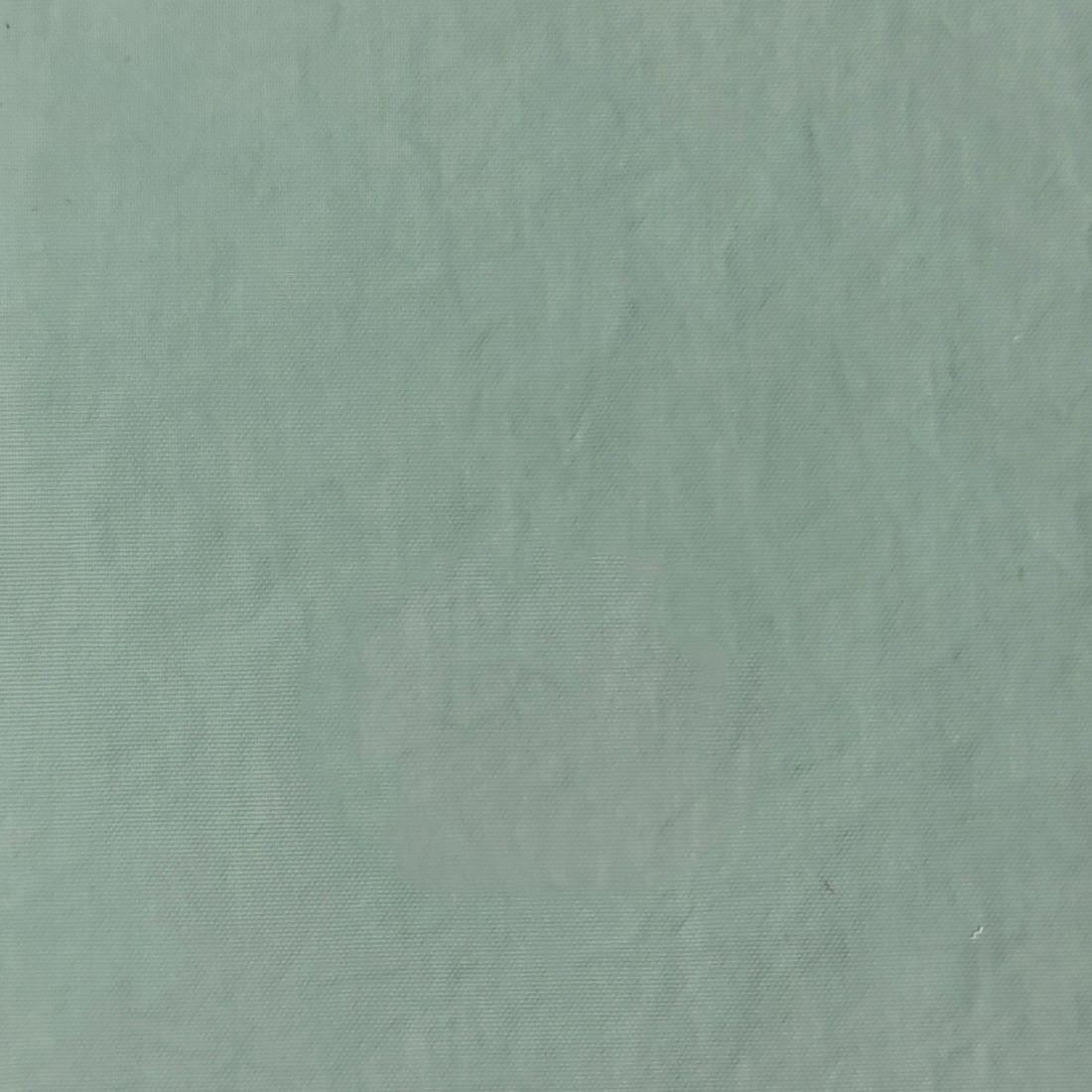 Recycle Nylon Woven - FAB 1231 - 3.Tanura Green