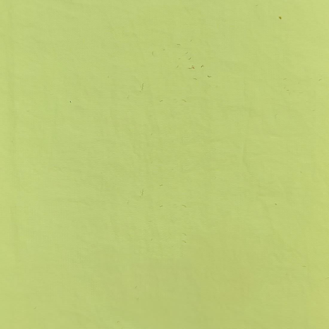 Recycle Nylon Woven-Springvale