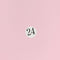 24.Pink