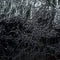 4.Black