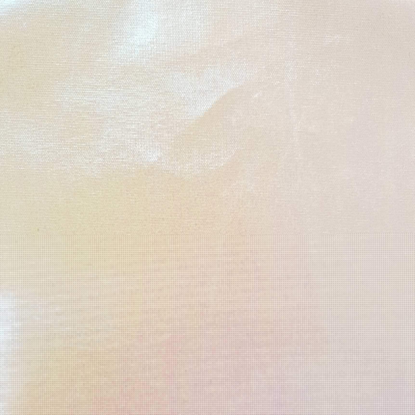 Hologram PU Nylon Fabric - FAB 1294 - 2.Iovry