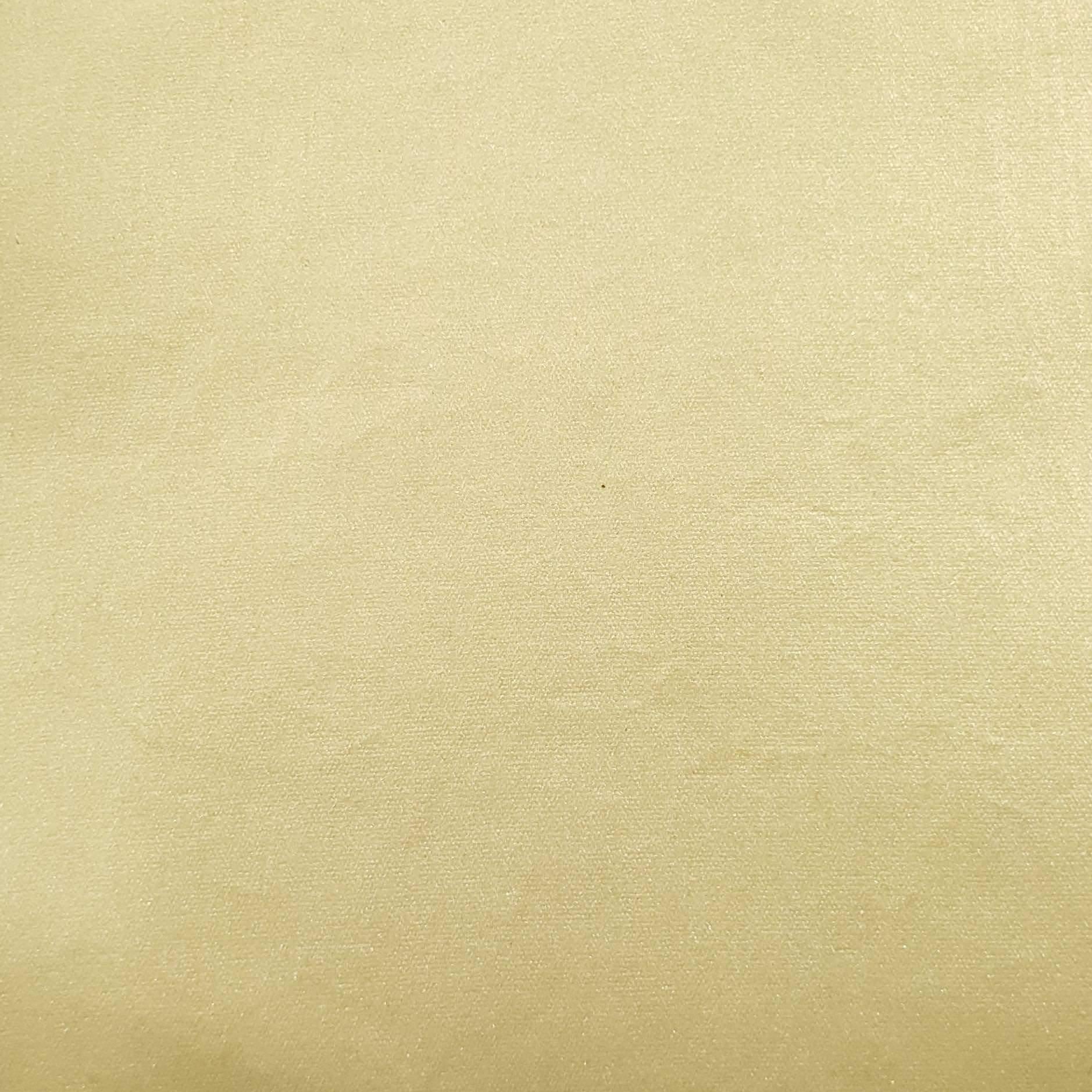 Metal PU Nylon Fabric - FAB 1300 - 4.Beige