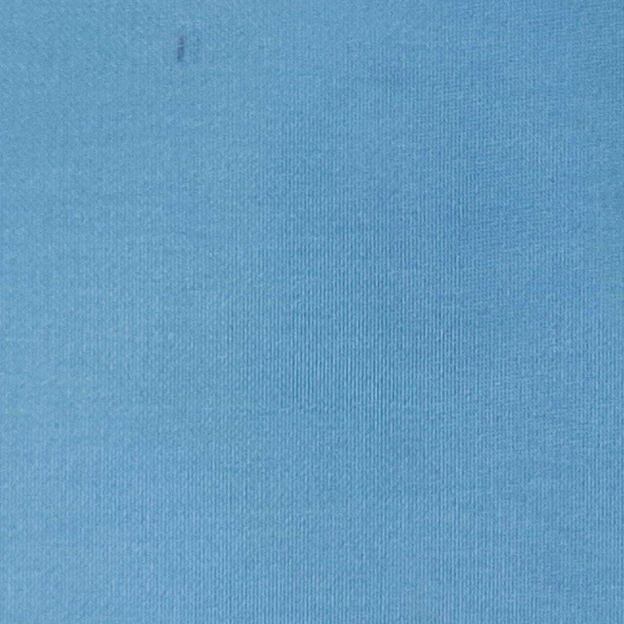 Silk Organza Woven-Blue