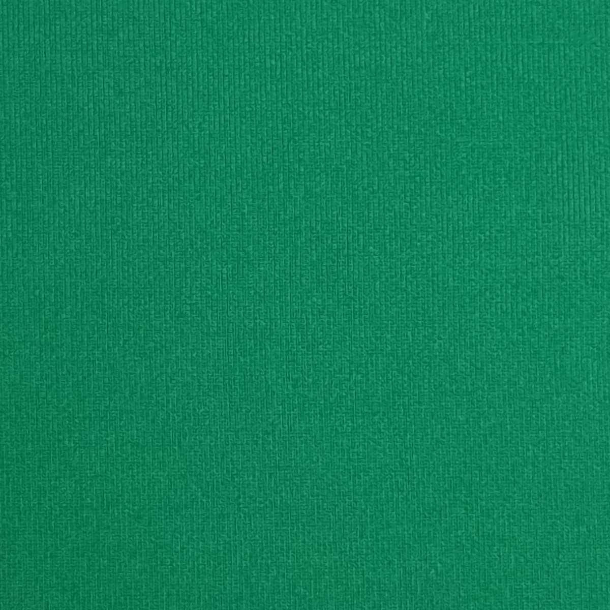 Polyester Spandex Knit - FAB 1380 - 24.Green