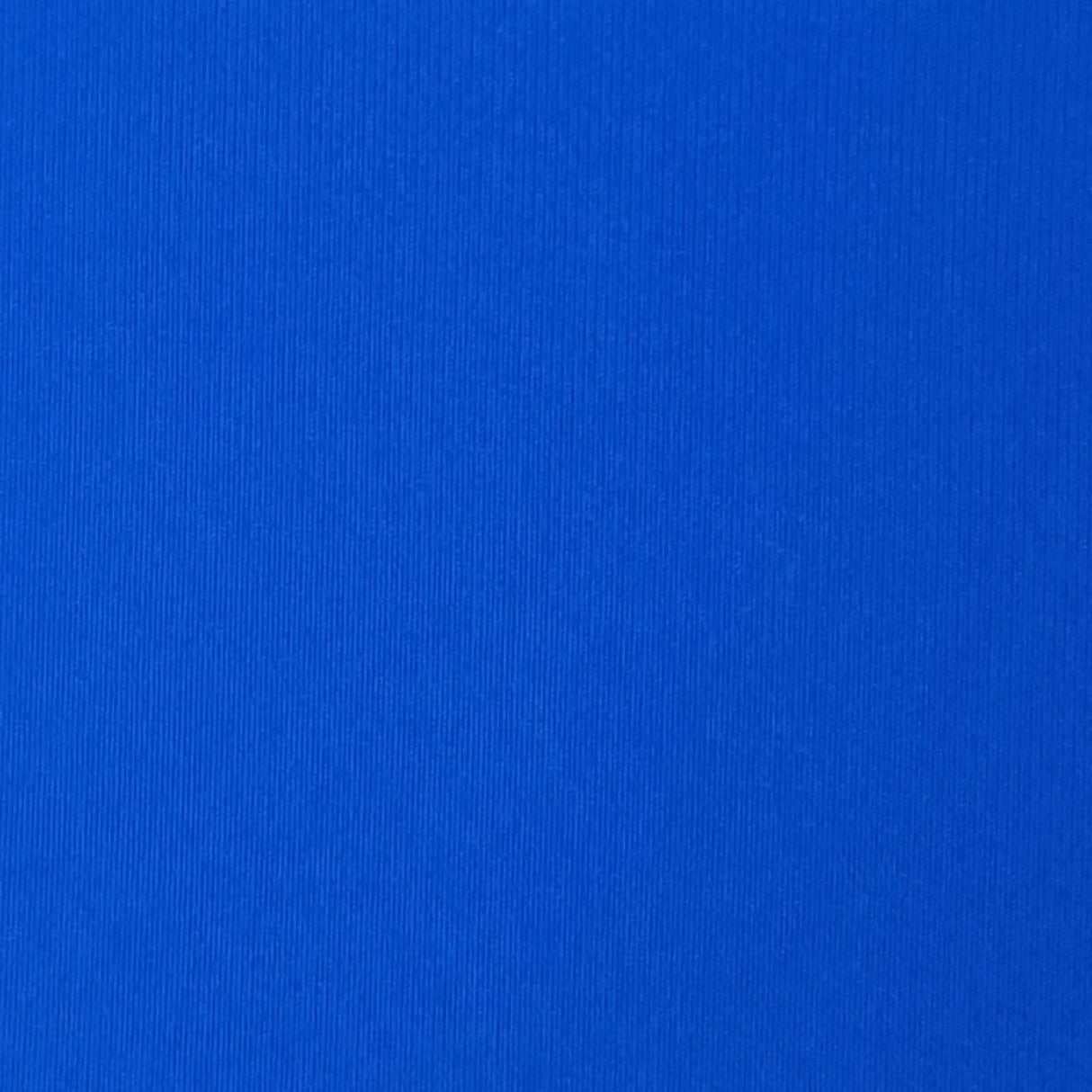 Nylon Spandex Knit-Blueberry Blue