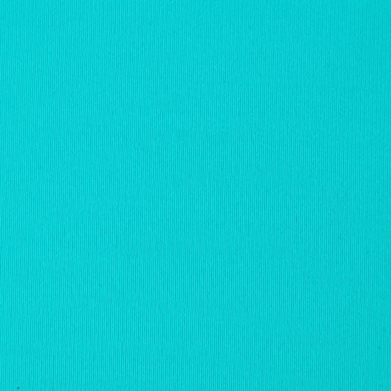 Nylon Spandex Knit - FAB 1386 - 21.Topaz